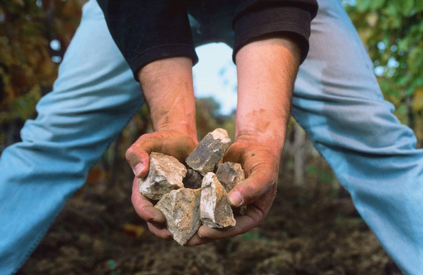 Gasthof Hotel Zum Weinberg Kohfidisch エクステリア 写真
